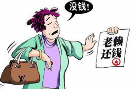 嘉定企业清欠服务